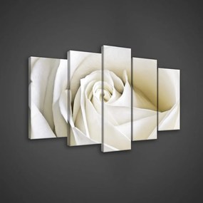 Vászonkép 5 darabos, Rózsa 100x60 cm méretben