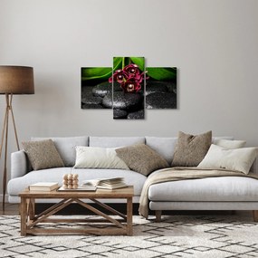 Kép - Lávakövek (90x60 cm)