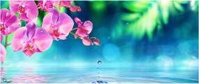 Kép - Orchidea (120x50 cm)