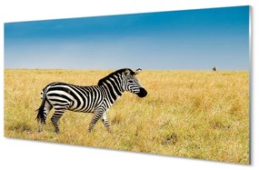 Üvegképek Zebra box 100x50 cm 2 fogas