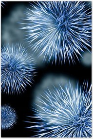 Poszterek 80x120 Vírus Baktériumok Makro