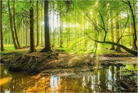 Tapéta Flizelin Falfestmény Prémium Zöld táj 104x70 Ragasztó