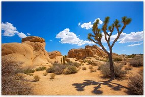 Poszterek 120x80 Sivatagi táj