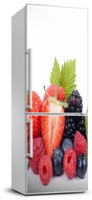 Hűtőre ragasztható matrica Erdei gyümölcsök FridgeStick-70x190-f-70482895