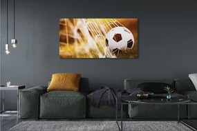 Canvas képek A labda sárga fű háttér 125x50 cm
