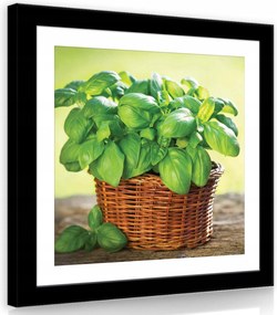 Vászonkép 80x80 Bazsalikom kosár zöld frissesség csendélet gyógynövények konyha nyár