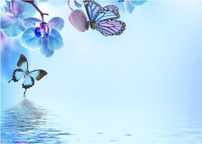 Kép - Pillangó orchidea virágon, kék (70x50 cm)