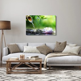 Kép - Lotus (90x60 cm)