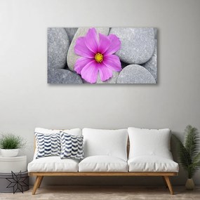 Vászonfotó Spa virág növény 100x50 cm