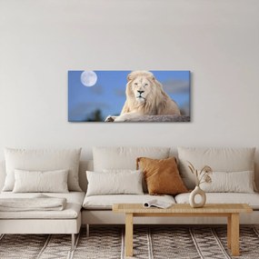 Kép - Fehér oroszlán (120x50 cm)