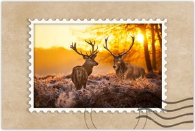 Poszterek 60x40 Szarvasok a réten