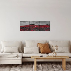Pipacsos kép (órával) (90x30 cm)
