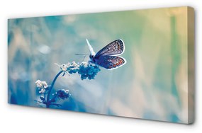 Canvas képek színes pillangó 125x50 cm
