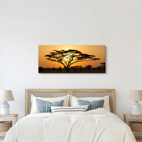 Kép - afrikai szavanna (120x50 cm)