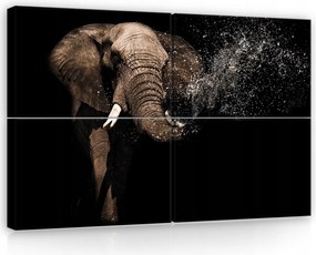 Vászonkép 120x80 Elefánt fröccs víz dinamika erő vad természet energia mozgás