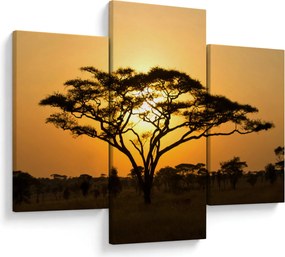 Kép - afrikai szavanna (90x60 cm)