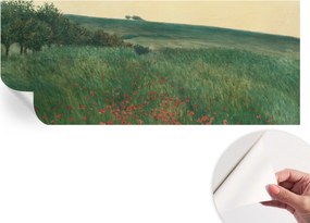 Dekoratív öntapadós fotótapéta Hálószobába Pipacs mezők 250x104 cm