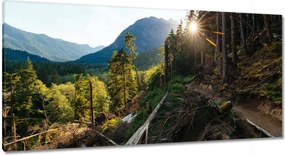 Vászonkép 115x55 Hegyek Napfény Erdő Ösvény