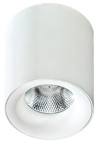 Azzardo Mane mennyezeti lámpa, fehér, 3000K melegfehér, beépített LED, 10W, 850 lm, AZ-2845