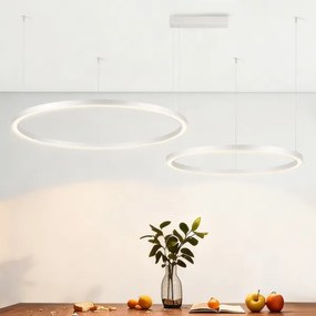 Brilagi - LED fényerőszabályozható kábeles csillár PORTOFINO LED/98W/230V ezüstszínű + távirányító