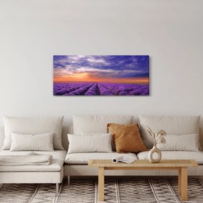 Egy levendula mező képe (120x50 cm)