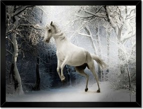 Poszterek keretben 40x30 Fehér paripa