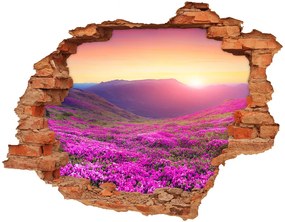 Fali matrica lyuk a falban Rózsaszín domb nd-c-72586785