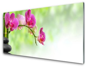Üvegkép Nature bambusz virág 125x50 cm