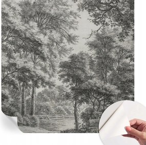 Fotótapéta Fali tapéta Hálószobába és Nappaliba Erdei táj 250x250 cm