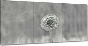 Vászonkép 180x90 Pitypang