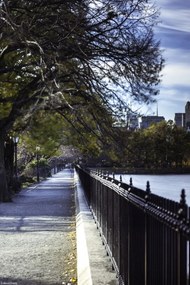 Poszter 20x30cm New York sétány, Assaf Frank