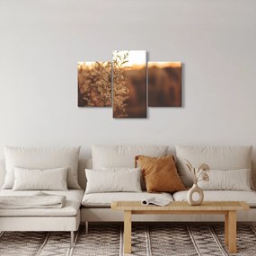 Virágzó fű képe (90x60 cm)