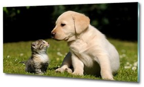Üvegkép Kutya és macska a réten osh-38411802