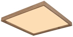 Globo 41595D2 - LED Mennyezeti lámpa CINDERELA LED/24W/230V 45cm 2700/4500/6500K