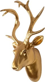 Bust of Deer - 1