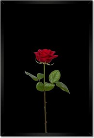 Poszterek keretben 40x60 Nőnap Ajándék Love