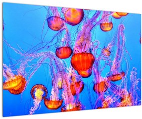 Medúza a tengerben képe (90x60 cm)