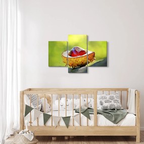 Gesztenye képe (90x60 cm)
