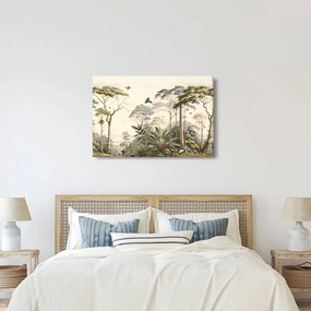 Kép - Amazonas esőerdő (90x60 cm)
