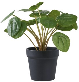 Pilea műnövény 28 cm