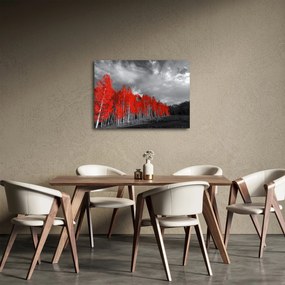 Kép - fák őszi színben (70x50 cm)