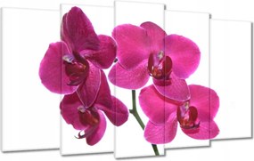 Vászonkép 100x60 Lila orchidea