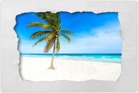 Poszterek 90x60 Trópusok Tájkép Pálma