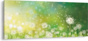 Kép - Virágozatlan pitypang (120x50 cm)