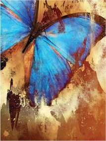 Fotótapéta színes pillangók fotótapéta 206 x 275