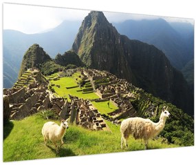 Kép - Machu Picchu (90x60 cm)