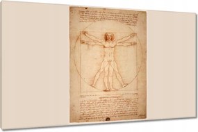 Festmények 120x70 A vitruviusi ember