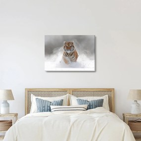 Futó tigris a hóban képe (70x50 cm)