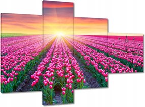 Órák 100x70 Tulipánok tengere Virágok