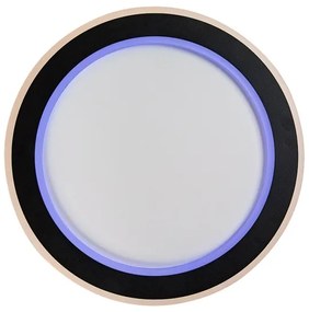 Rabalux 71406 - LED dimmelhető mennyezeti lámpatest GOLWEN LED/22W/230V 3000-6500K + távirányító